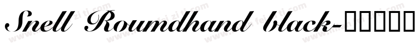 Snell Roumdhand black字体转换
